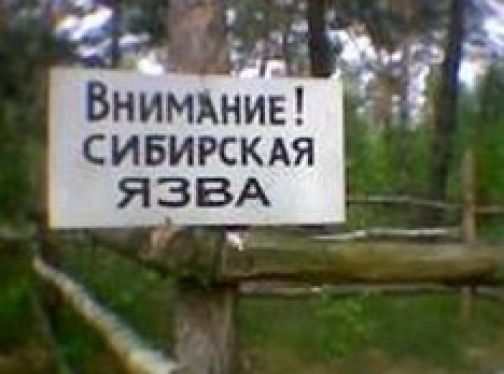 showimagenpadvsinglephoto