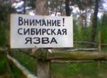 showimagenpadvsinglephoto_0