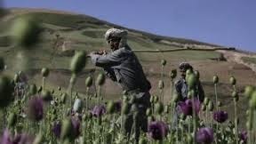 skachannyefaylyloz0h