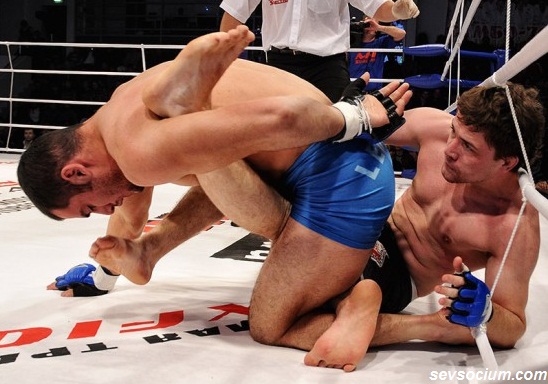 smeshennoeedinoborstvovhudzhande