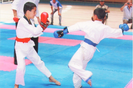 sportfotodzhiudzhitsu22