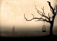 svobodanamtolkosnitsya