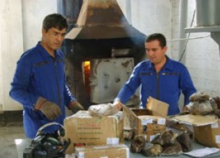 szhiganienarkotikov4_1