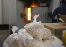 szhiganienarkotikov_0