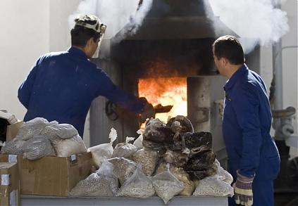 szhiganienarkotikov_2