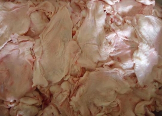 tadzhikistancevhotelinakormitkolbasoyizkurinoykozhi_0