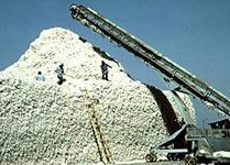 tadzhikistansushchestvennosokratileksporthlopka