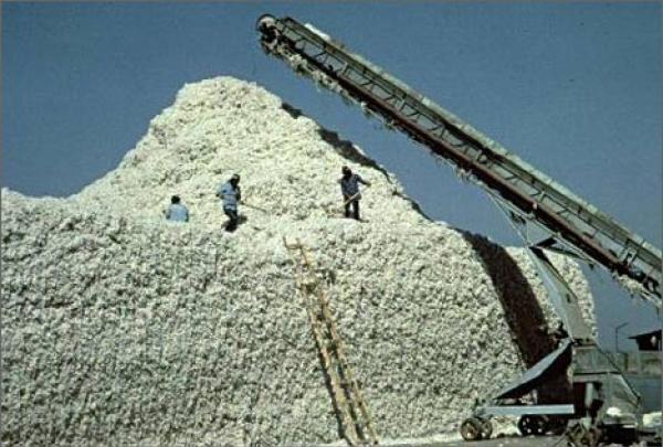 tadzhikistanvyanvareuvelichilobemeksportahlopkana7_0