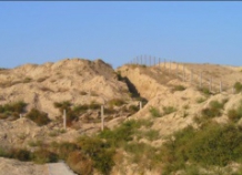 tadzhiksk-uzbekskayagranica_1