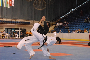 taekvondo1