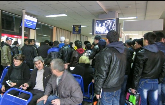 trudovyemigrantymogutstrahovatsyavtadzhiksugurta_0