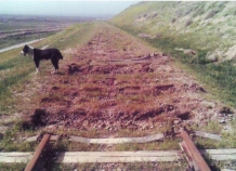 tzhdpytaetsyavosstanovitdvizheniepoezdovpomarshrututermez-kurgan-tyubenapravitelstvennomurovne_0