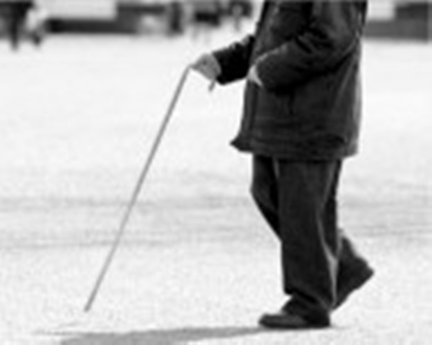 uchebno-proizvodstvennyykombinataslepyh