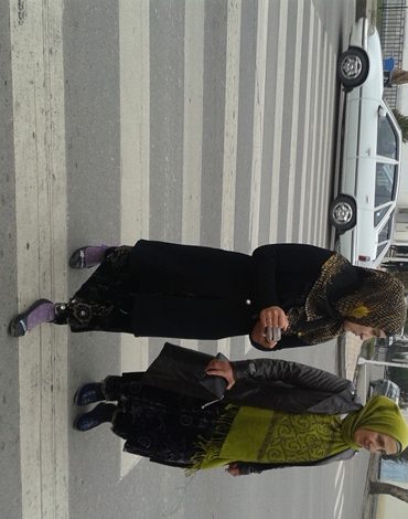 ulaynipeshehodybezralichnyeksignalamsvetofora