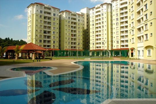 universitetlimkokvin