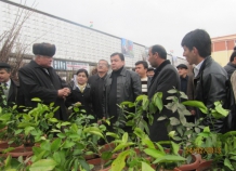 vdushanbestartuyuyarmarki-prodazhisazhencev