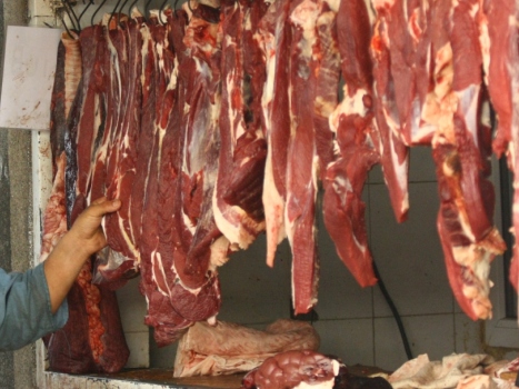 vetnadzornapervuyuyu_0