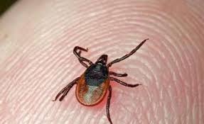 vkurgyantyubeskonchalsyaotukusakleshchachelovek