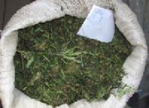 vpyandzhenaydeno10kgnarkotikov_0