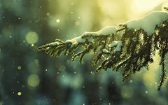 vtadzhikistanebudetsneg