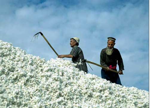 vtadzhikistanevnyneshnemgodusobranookolo386tystonnhlopka