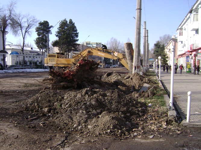 vyrubkaderevevpoulayni4