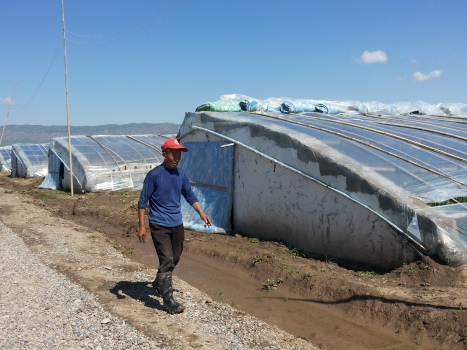 yavan1zemliluchshechemvydelennyekitaycaminenayti_0