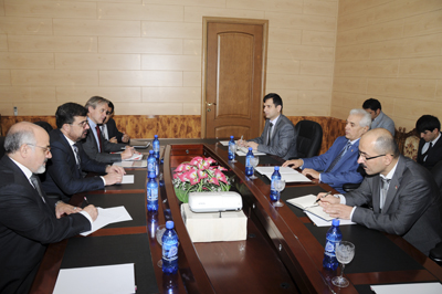 zarifiafghanmin20113