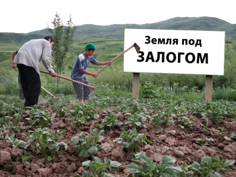 zemlyavzalognapervuyu_0