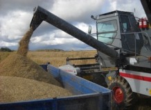 zernovodysobrali500tysurozhaya_0