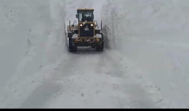 16730619_1452177801524280_5125086351918683652_n