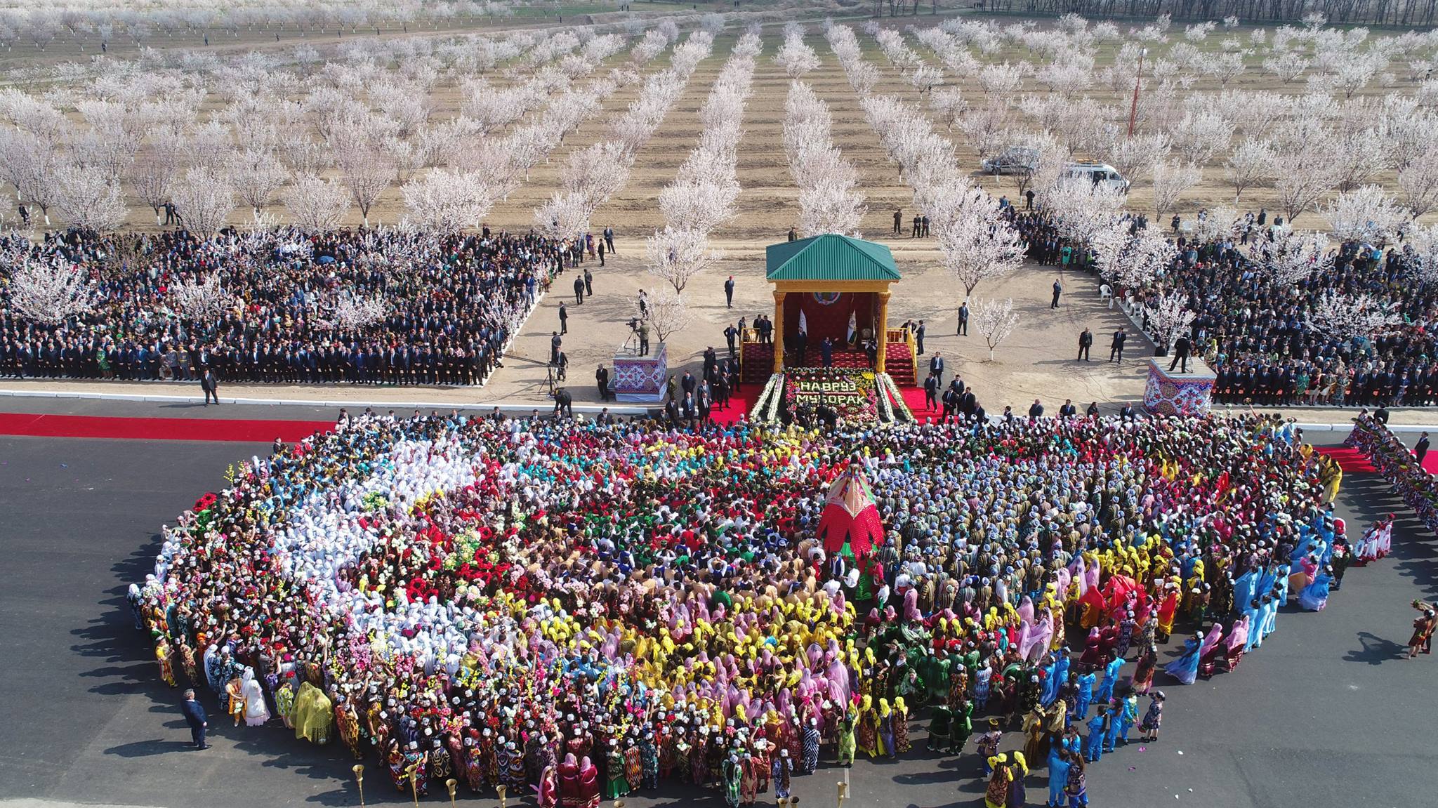 17309920_1395571110513071_2253178522946049044_o