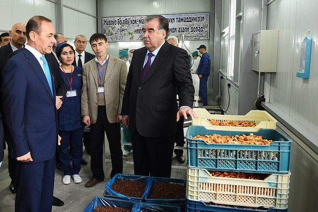 33234250530_e049bf67d4_z