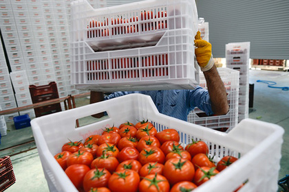 pic_d5767ec2a53083b88a36558eb0bfd9fd