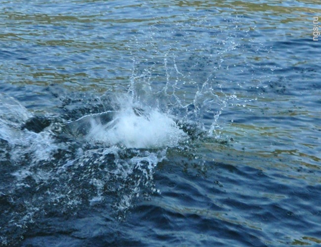 a0f90ea8d000967e7cc8012af5b9a71c1560b221_650