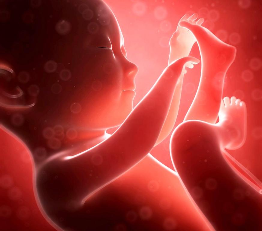 4686_foto5382f5850c1da