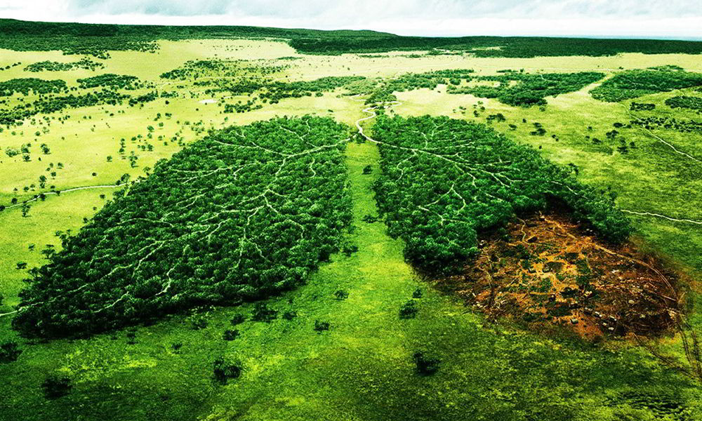 Earth