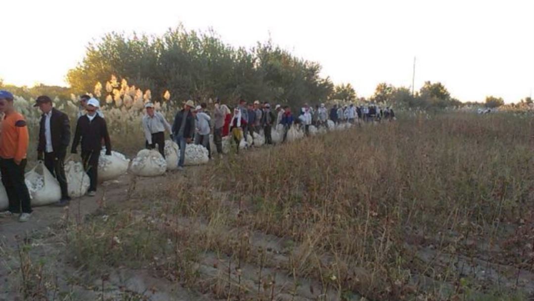 D52BCA1D-34B1-41EE-83DB-353372C0DE65_w1080_h608