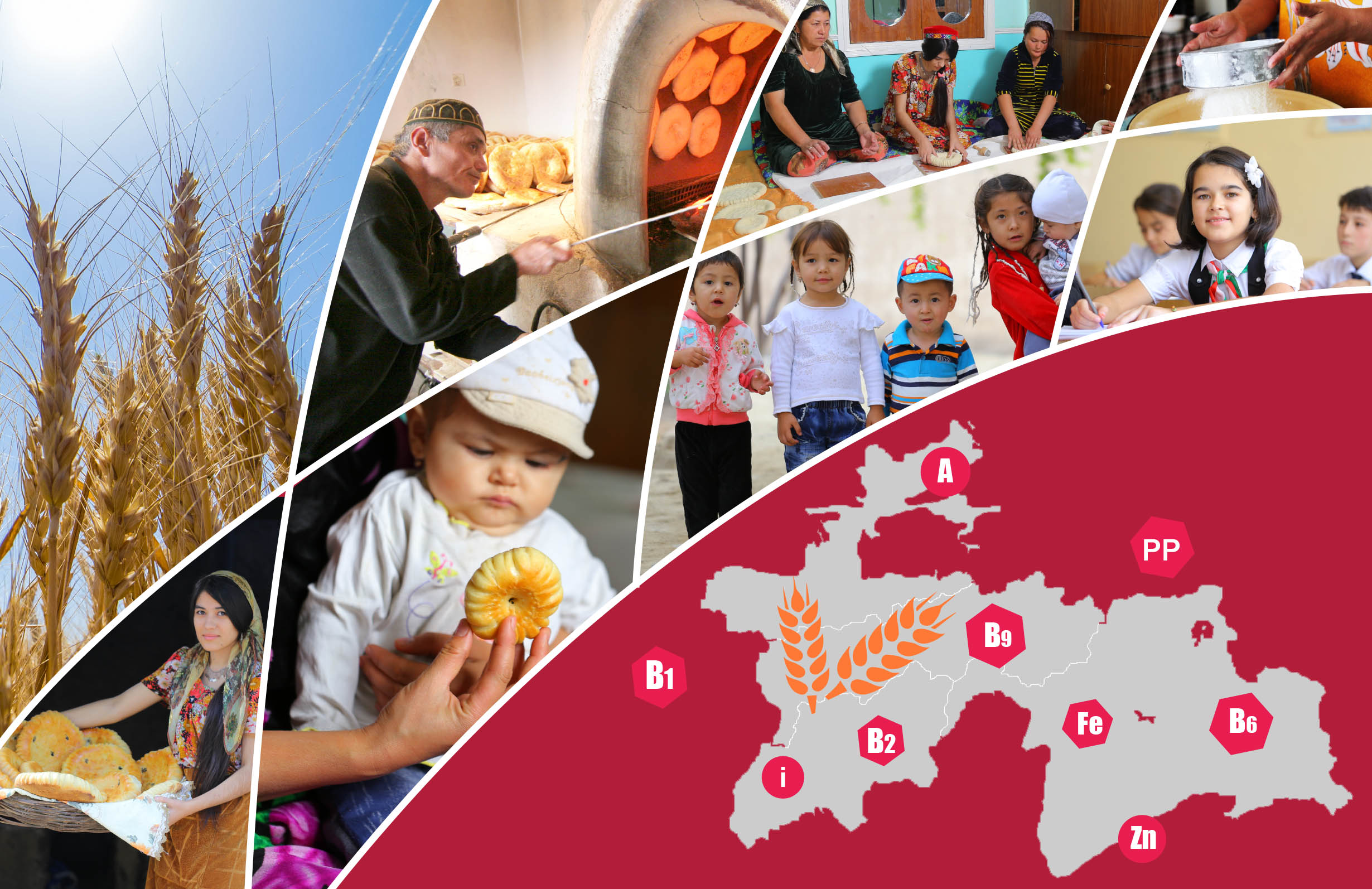 Photokolaj_o_pitanii