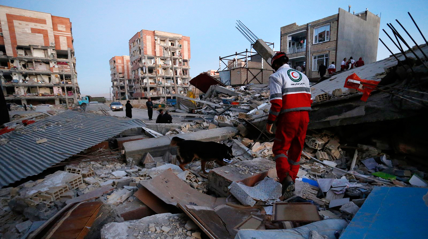 upload-AP_17317251581112-pic4_zoom-1500x1500-88948