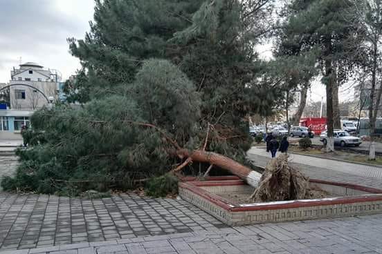 25659650_1946982565372362_4422730518977015202_n