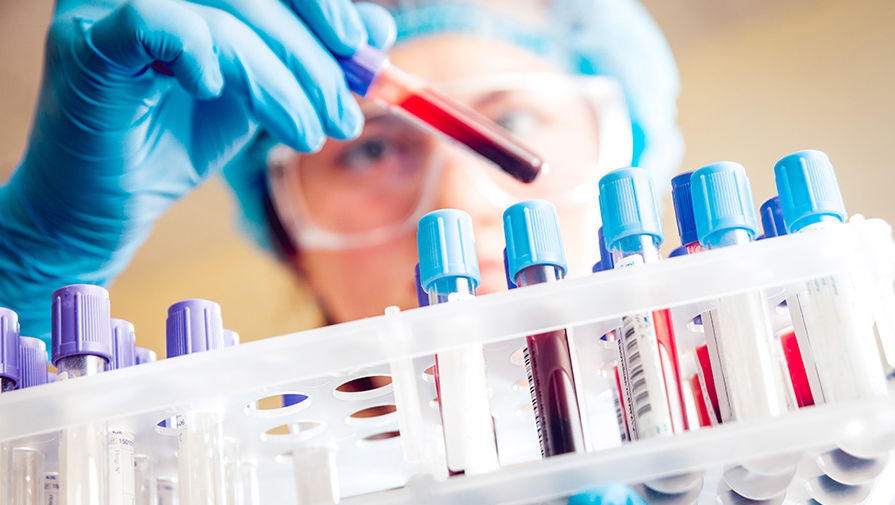 shutterstock_326298698-pic905-895x505-5702