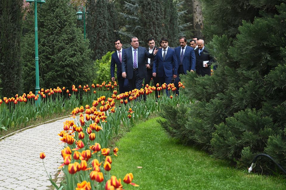 29595325_1862510143819163_1167063243566804529_n