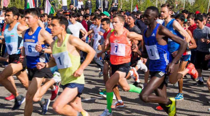 5a4f1db61809f1b6d9f4e05fb285207a-960