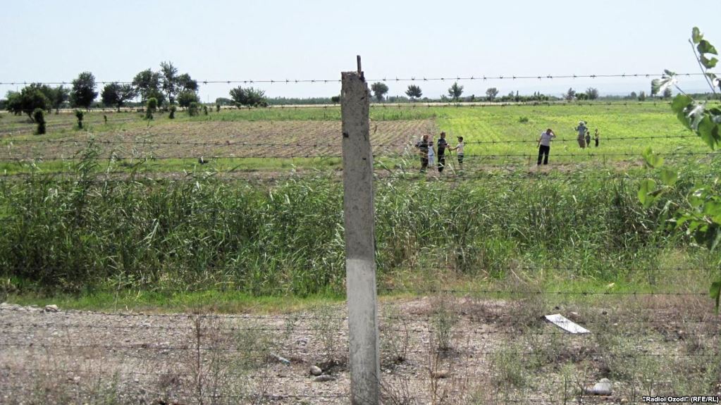 76570BBF-2EC9-4987-8D3D-0C069479A213_cx0_cy11_cw0_w1023_r1_s