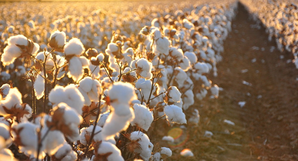 1505388434_1021409103