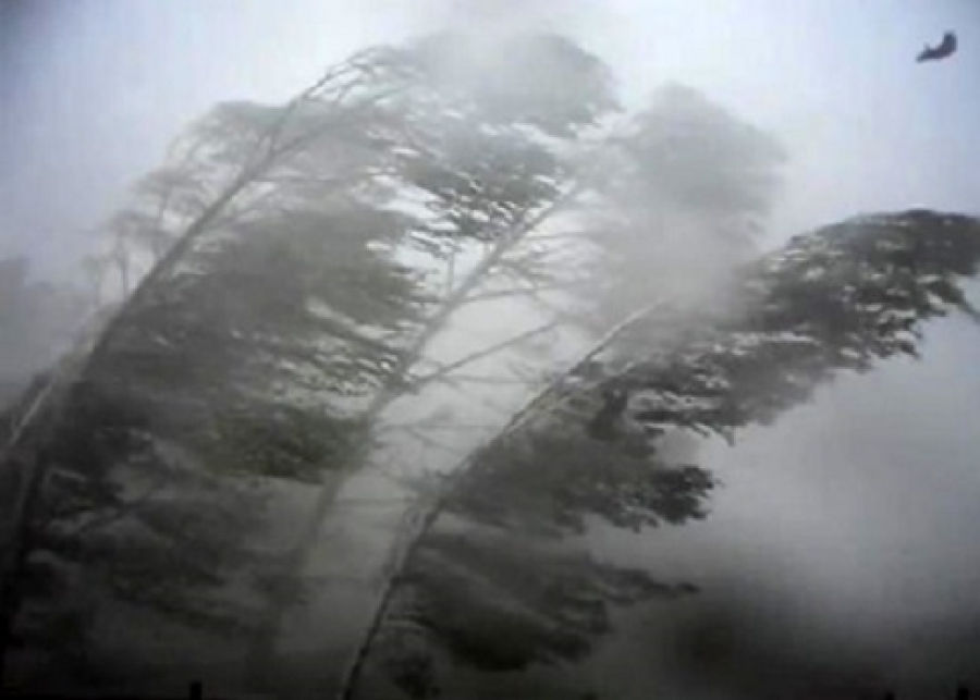 52ac478ca7238cfda77c2285b81ea38b