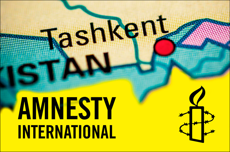 amnestytash1