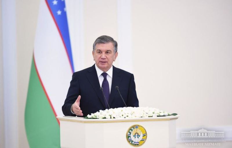 720_460_80_2626873379