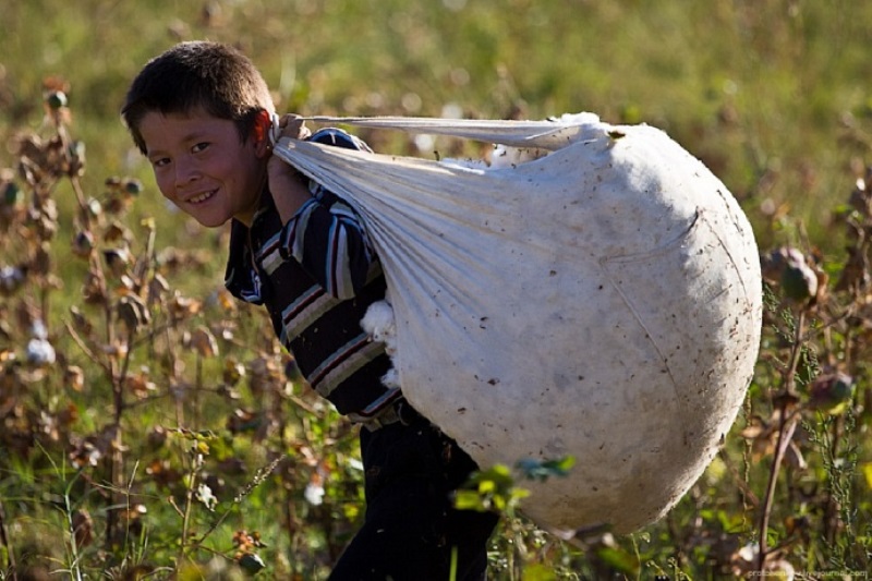 cc40b2b5a5623629e338bdbf13f8d126